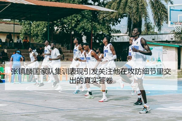 张镇麟国家队集训表现引发关注他在攻防细节里交出的真实答卷