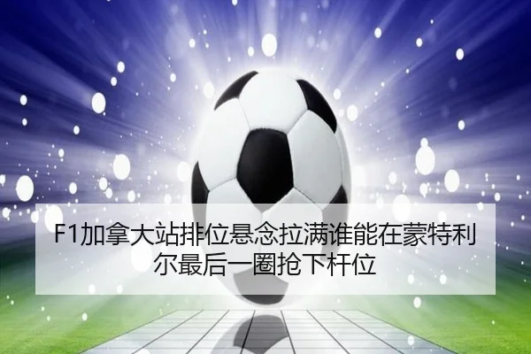 img_1781370347513_133_2_339.jpg